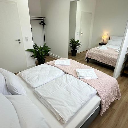 Das Loft - Sauna - 4 Schlafzimmer - 2 Baeder - Stadtmitte - 2 Parkplaetze Шпейер Экстерьер фото